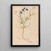 Reproduction of the painting Ectypa vegetabilium Pl054 - Christian Gottlieb Ludwig