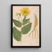 Ectypa vegetabilium Pl059 - Christian Gottlieb Ludwig — framed artwork on a wall