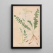 Ectypa vegetabilium Pl060 - Christian Gottlieb Ludwig — framed artwork on a wall