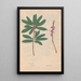 Reproduction of the painting Ectypa vegetabilium Pl063 - Christian Gottlieb Ludwig