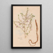 Reproduction of the painting Ectypa vegetabilium Pl068 - Christian Gottlieb Ludwig