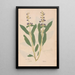 Ectypa vegetabilium Pl071 - Christian Gottlieb Ludwig — framed artwork on a wall
