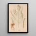 Ectypa vegetabilium Pl078 - Christian Gottlieb Ludwig — framed artwork on a wall