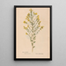 Reproduction of the painting Ectypa vegetabilium Pl084 - Christian Gottlieb Ludwig