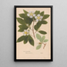 Reproduction of the painting Ectypa vegetabilium Pl088 - Christian Gottlieb Ludwig