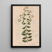 Reproduction of the painting Ectypa vegetabilium Pl090 - Christian Gottlieb Ludwig