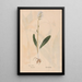 Reproduction of the painting Ectypa vegetabilium Pl095 - Christian Gottlieb Ludwig