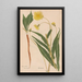 Ectypa vegetabilium Pl096 - Christian Gottlieb Ludwig — framed artwork on a wall