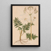 Reproduction of the painting Ectypa vegetabilium Pl099 - Christian Gottlieb Ludwig