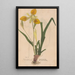 Ectypa vegetabilium Pl101 - Christian Gottlieb Ludwig — framed artwork on a wall