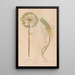 Reproduction of the painting Ectypa vegetabilium Pl102 - Christian Gottlieb Ludwig