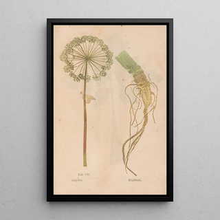 Christian Gottlieb Ludwig - Ectypa vegetabilium Pl102.webp