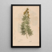 Ectypa vegetabilium Pl104 - Christian Gottlieb Ludwig — framed artwork on a wall