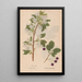 Ectypa vegetabilium Pl108 - Christian Gottlieb Ludwig — framed artwork on a wall