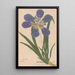Ectypa vegetabilium Pl112 - Christian Gottlieb Ludwig — framed artwork on a wall
