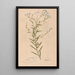 Reproduction of the painting Ectypa vegetabilium Pl118 - Christian Gottlieb Ludwig