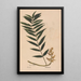 Ectypa vegetabilium Pl122 - Christian Gottlieb Ludwig — framed artwork on a wall