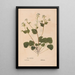 Ectypa vegetabilium Pl133 - Christian Gottlieb Ludwig — framed artwork on a wall