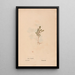 Reproduction of the painting Ectypa vegetabilium Pl135 - Christian Gottlieb Ludwig