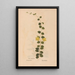 Reproduction of the painting Ectypa vegetabilium Pl148 - Christian Gottlieb Ludwig