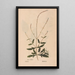 Ectypa vegetabilium Pl149 - Christian Gottlieb Ludwig — framed artwork on a wall