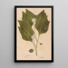 Ectypa vegetabilium Pl151 - Christian Gottlieb Ludwig — framed artwork on a wall