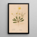 Ectypa vegetabilium Pl154 - Christian Gottlieb Ludwig — framed artwork on a wall