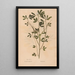 Reproduction of the painting Ectypa vegetabilium Pl160 - Christian Gottlieb Ludwig