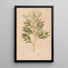 Ectypa vegetabilium Pl161 - Christian Gottlieb Ludwig — framed artwork on a wall