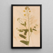 Reproduction of the painting Ectypa vegetabilium Pl165 - Christian Gottlieb Ludwig