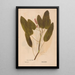 Ectypa vegetabilium Pl168 - Christian Gottlieb Ludwig — framed artwork on a wall