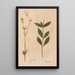 Ectypa vegetabilium Pl170 - Christian Gottlieb Ludwig — framed artwork on a wall