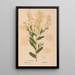 Reproduction of the painting Ectypa vegetabilium Pl173 - Christian Gottlieb Ludwig
