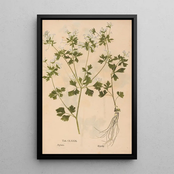 Reproduction of the painting Ectypa vegetabilium Pl180 - Christian Gottlieb Ludwig