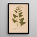 Reproduction of the painting Ectypa vegetabilium Pl185 - Christian Gottlieb Ludwig