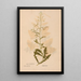 Ectypa vegetabilium Pl186 - Christian Gottlieb Ludwig — framed artwork on a wall