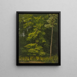 Study of deciduous forests in oil - Christian Heerdt — framed artwork on a wall