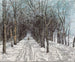 Allée du Belvédère à Weimar - Christian Rohlfs — artwork view