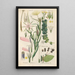 Botanical Manual Painting Pl01 - Christian Schkuhr — framed artwork on a wall
