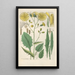 Reproduction of the painting Botanical Manual Painting Pl09 - Christian Schkuhr