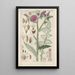 Botanical Manual Painting Pl16 - Christian Schkuhr — artwork view