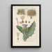 Botanical Manual Painting Pl18 - Christian Schkuhr — artwork view