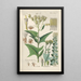 Botanical Manual Painting Pl24 - Christian Schkuhr — artwork view