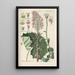 Botanical Manual Painting Pl30 - Christian Schkuhr — artwork view