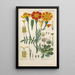 Botanical Manual Painting Pl41 - Christian Schkuhr — artwork view