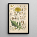 Botanical Manual Painting Pl54 - Christian Schkuhr — framed artwork on a wall