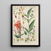 Botanical Manual Painting Pl63 - Christian Schkuhr — framed artwork on a wall