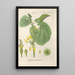 Botanical Manual Painting Pl71 - Christian Schkuhr — artwork view
