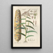 Botanical Manual Painting Pl78 - Christian Schkuhr — artwork view