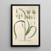 Botanical Manual Painting Pl79 - Christian Schkuhr — framed artwork on a wall